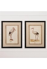 Framed Print Heron  2 Styles  8WH1065