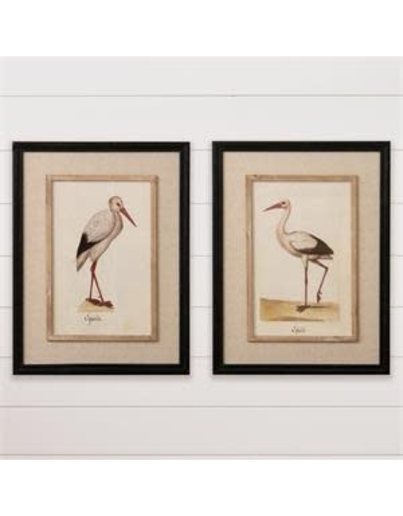 Framed Print Heron  2 Styles  8WH1065