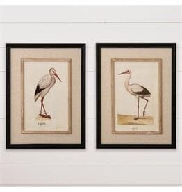 Framed Print Heron  2 Styles  8WH1065