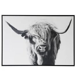 Highland Cow 51" x 35" NWW51112