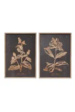 Wall Decor with Botanical Print, 2 Styles each DF3322A