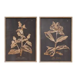 Wall Decor with Botanical Print, 2 Styles each DF3322A