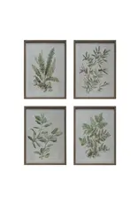 Wood Framed Glass Wall Decor/Botanicals 4 Styles, EACH DF6782A