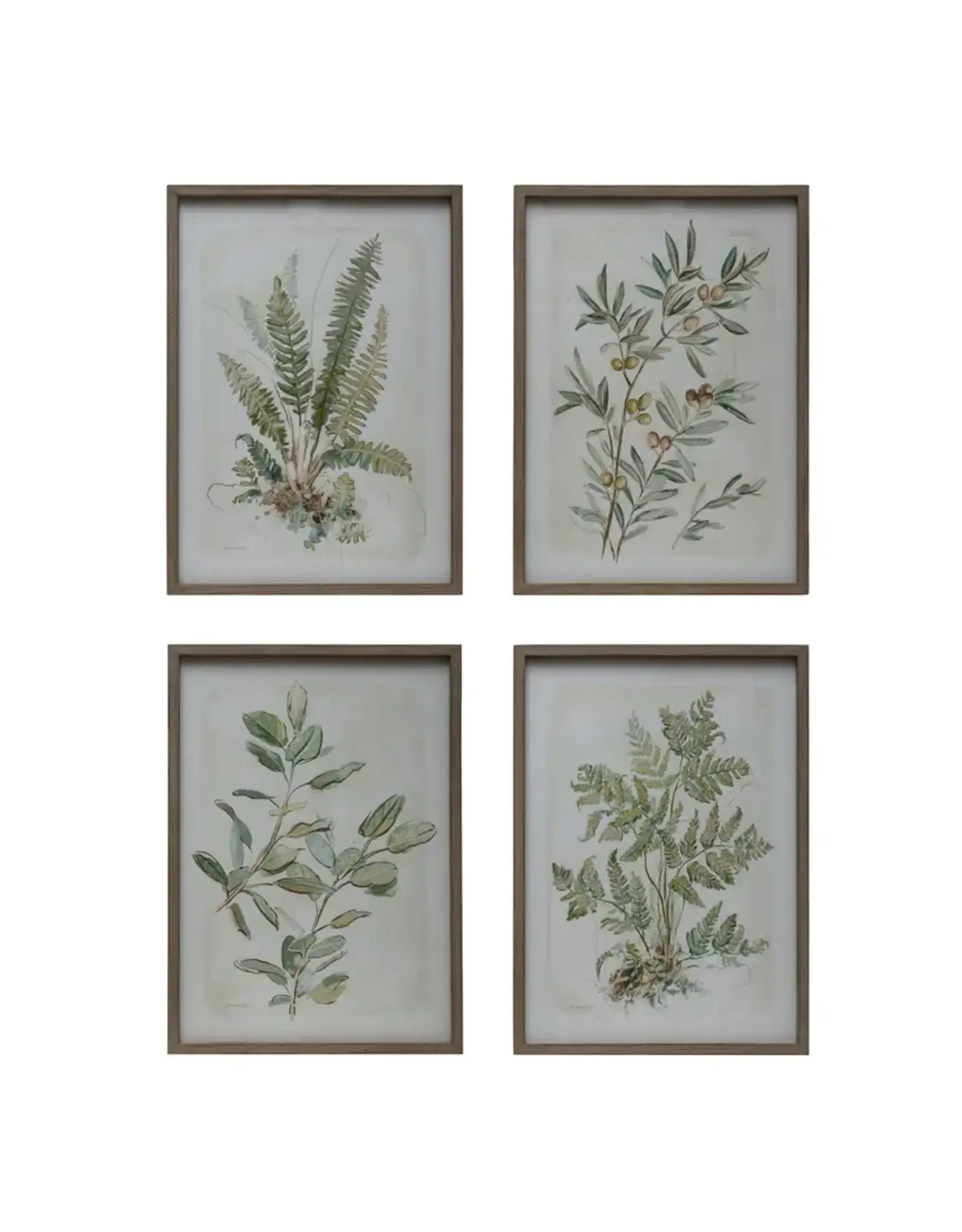 Wood Framed Glass Wall Decor/Botanicals 4 Styles, EACH DF6782A