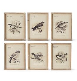 Assorted 15.75 Brown Wood Framed Bird Prints (6 Styles) Each  17910A