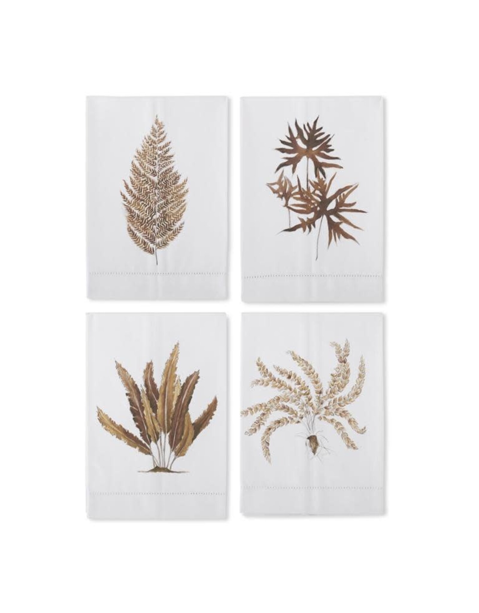 Brown Fern Hand painted Cotton Guest Towel 4 styles each 18894A