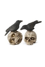 8 Inch Resin Crow on LED Skulls w/Timers 2 Styles , each 41348A