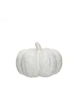 Stoneware Pumpkin, Reactive Glaze, Cream Color Speckled CF3830