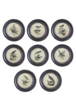 9.75 Inch Round Black Framed Bird Prints 8 styles, each  13731A