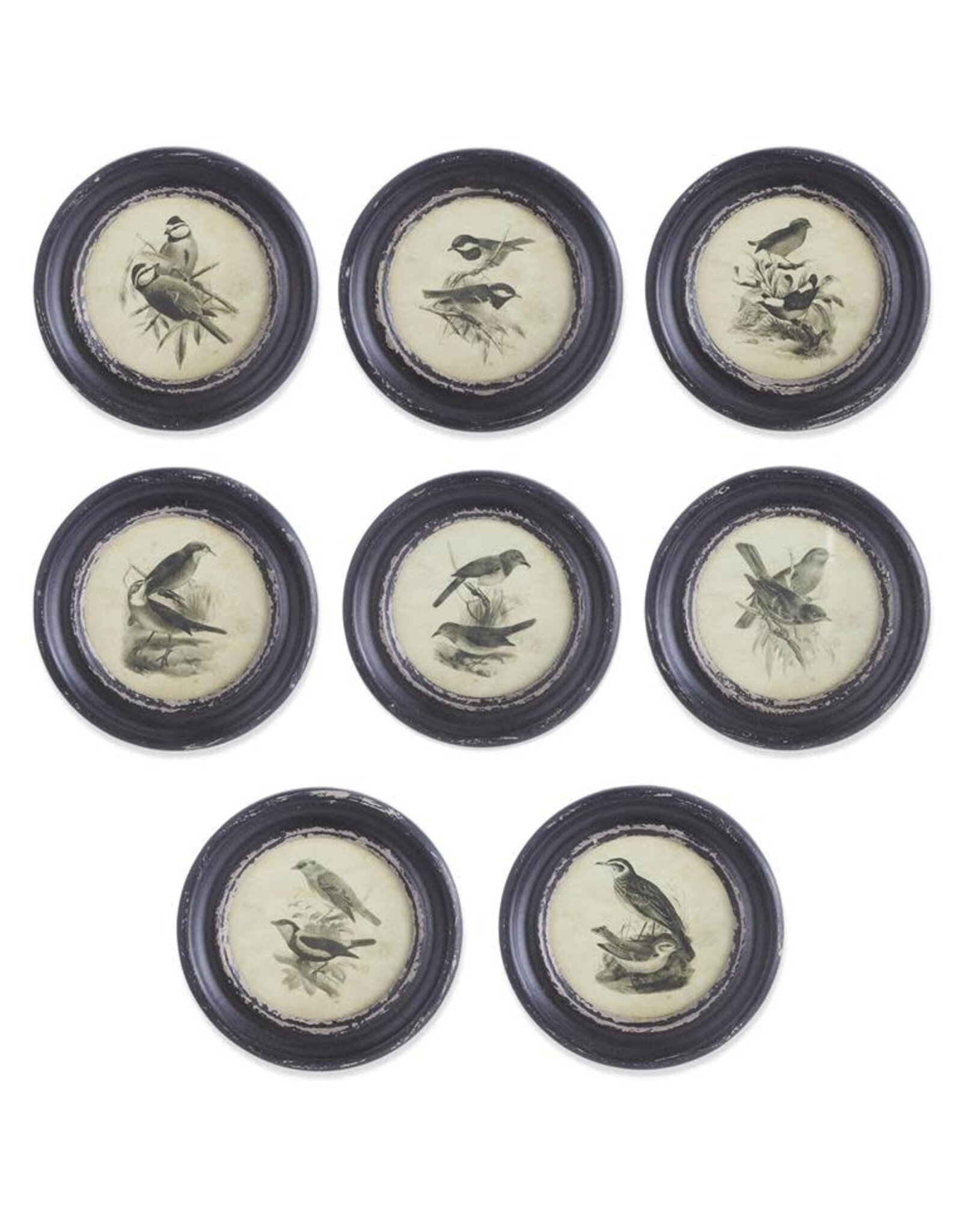 9.75 Inch Round Black Framed Bird Prints 8 styles, each  13731A