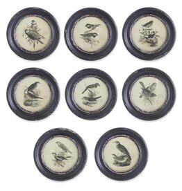 9.75 Inch Round Black Framed Bird Prints 8 styles, each  13731A