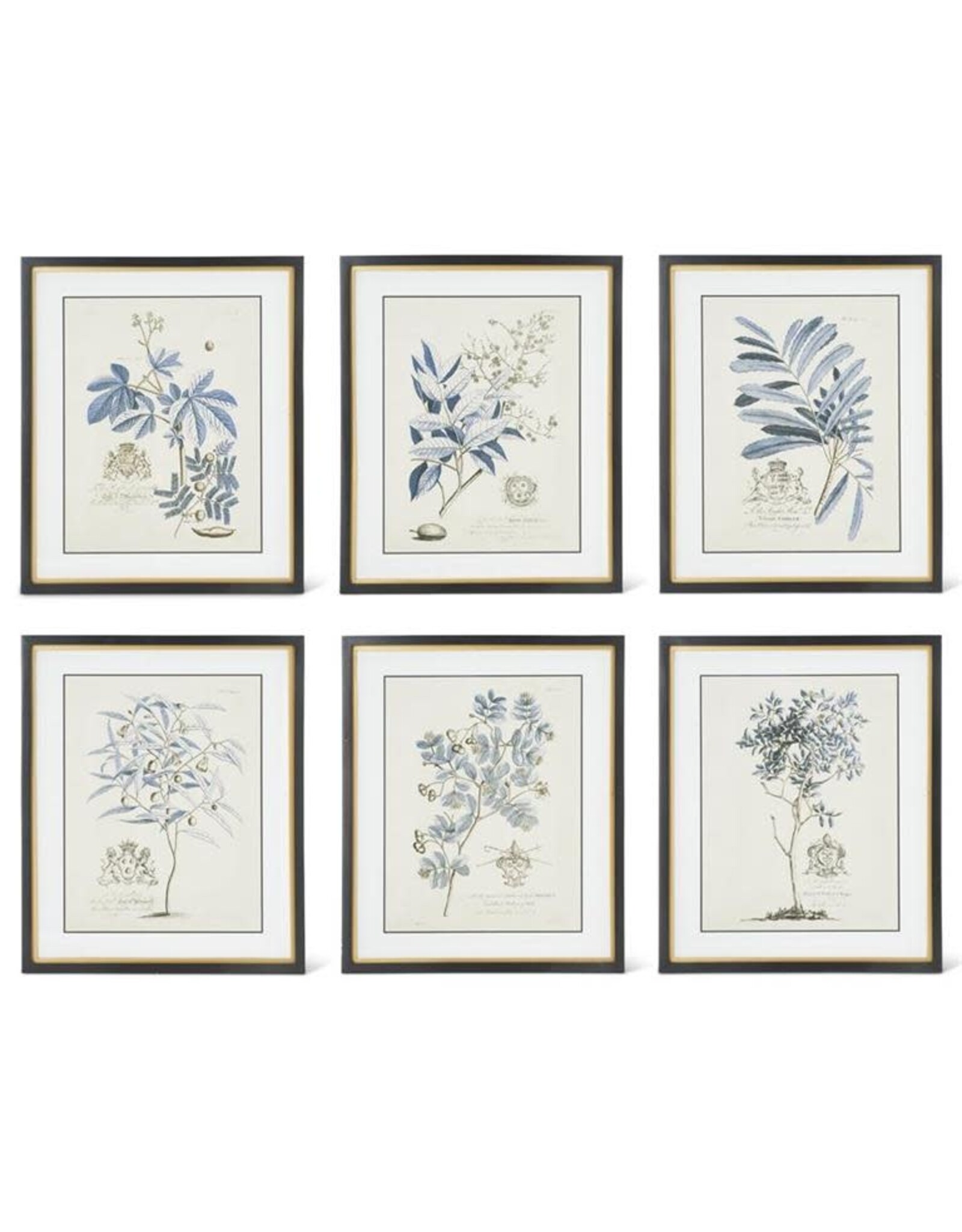 23.75 Inch Blue Arbor Prints in Black, 6 styles, each 16257A