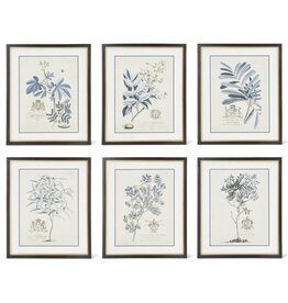 23.75 Inch Blue Arbor Prints in Black, 6 styles, each 16257A