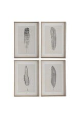 25.5 Inch Framed Feather Prints 4 Styles, each  17525A