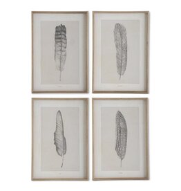 25.5 Inch Framed Feather Prints 4 Styles, each  17525A