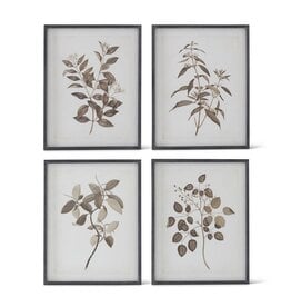 27.5 Inch Botanical Prints w/Black Wood Frame 4 styles, each 18506A