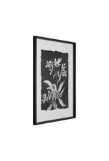 23-1/2"W x 27-3/4"H Wood Framed Glass Wall Décor w/ Botanical Print, Black & White, 6 Styles,  each AH0274A