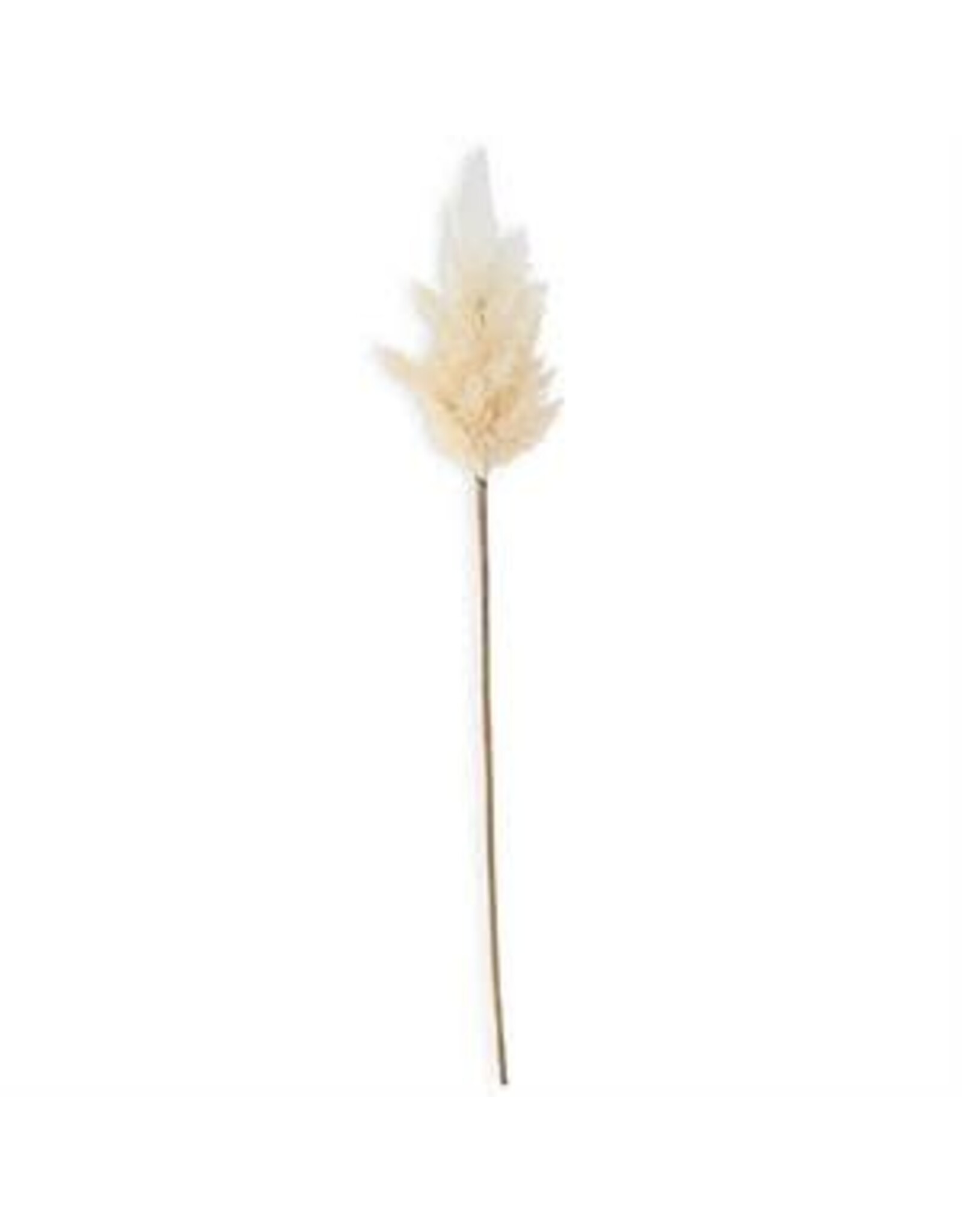 35 Inch Flocked Cream Pampas Grass Branch  42127A-CR