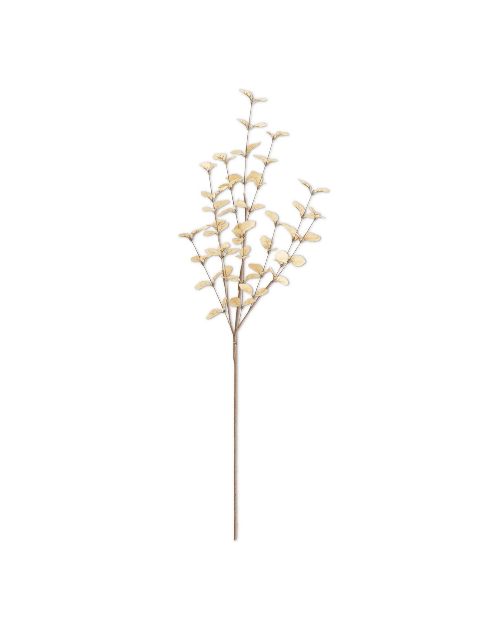 34 Inch Beige Eucalyptus Stem 16498A-BE