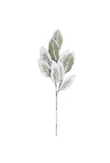 36 Inch Flocked Magnolia Stem  53873A
