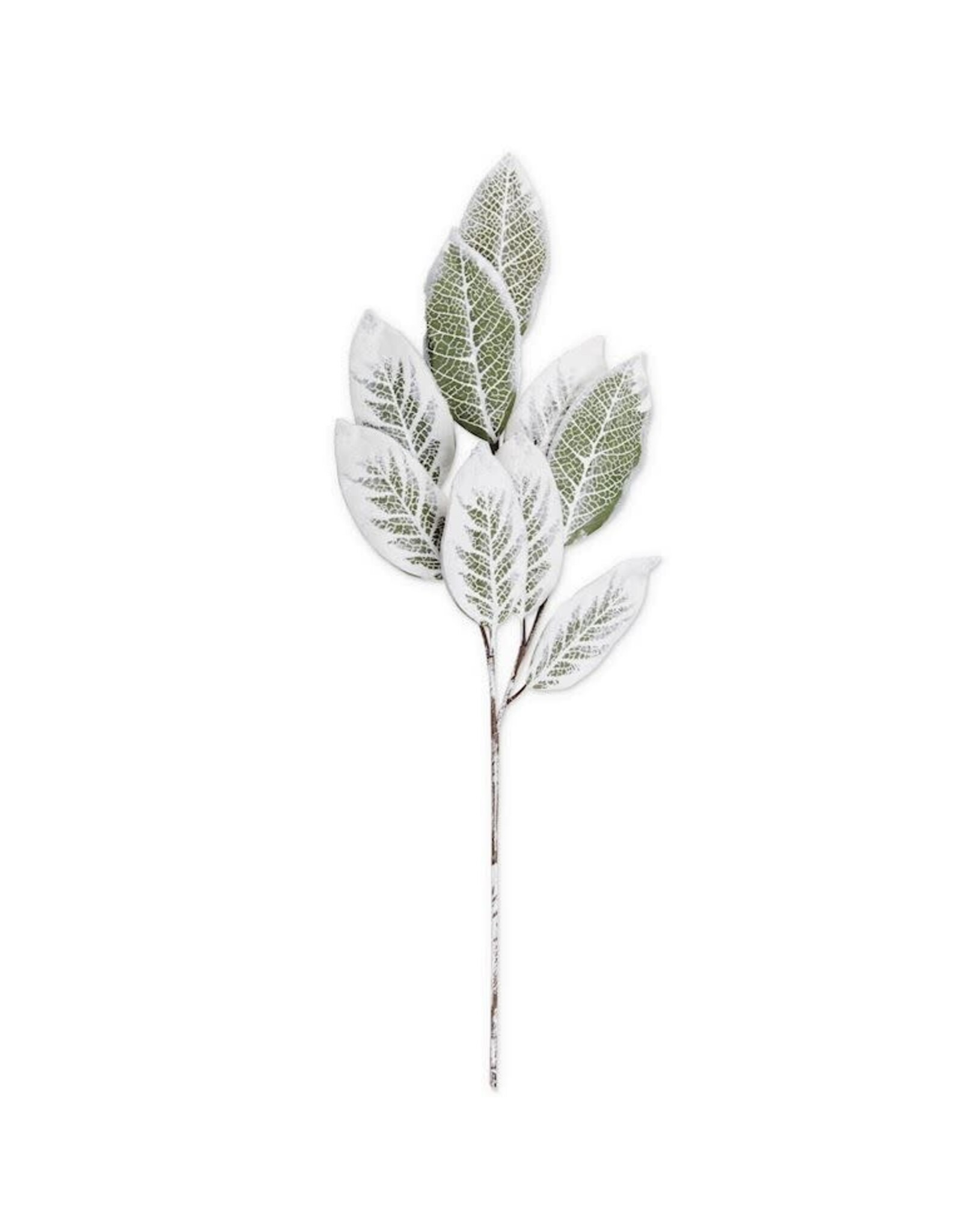 36 Inch Flocked Magnolia Stem  53873A