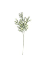 26 Inch Powdered Boxwood Stem 54581A