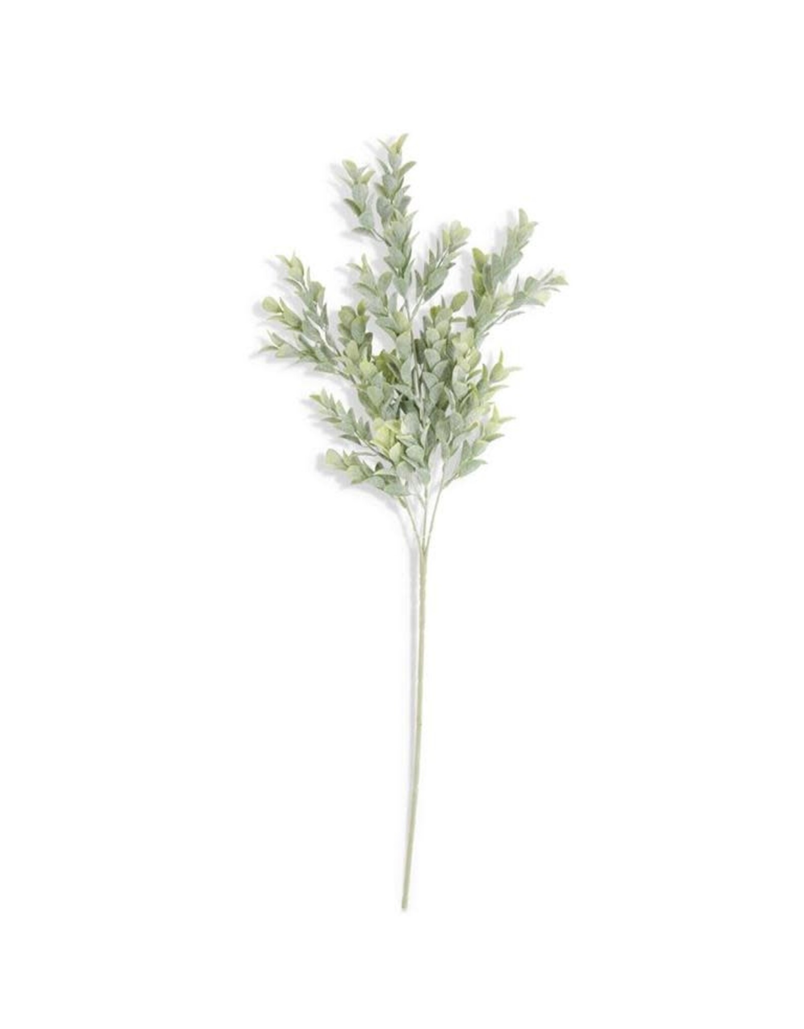 26 Inch Powdered Boxwood Stem 54581A
