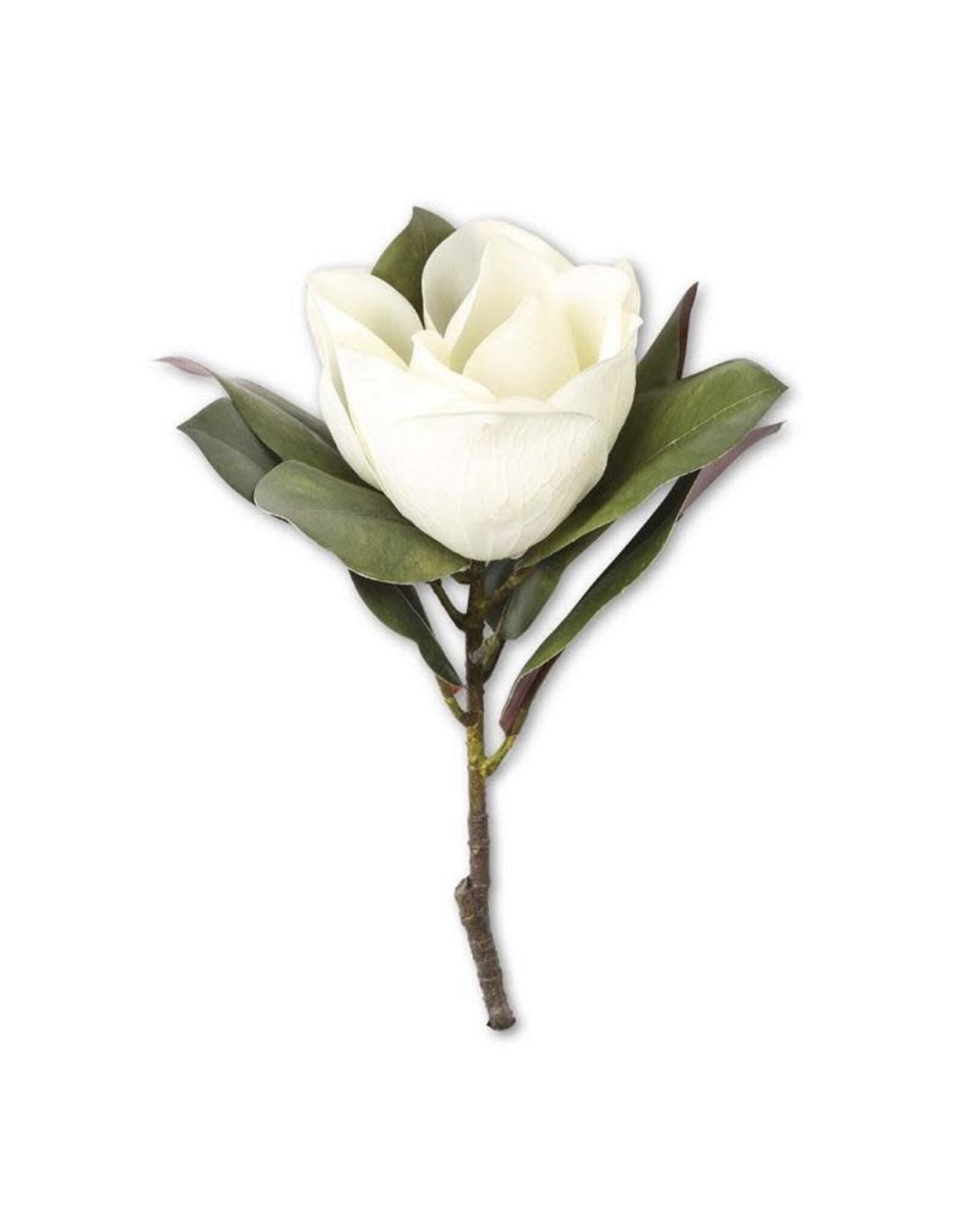 17 Inch White Magnolia Stem 15037A