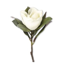 17 Inch White Magnolia Stem 15037A