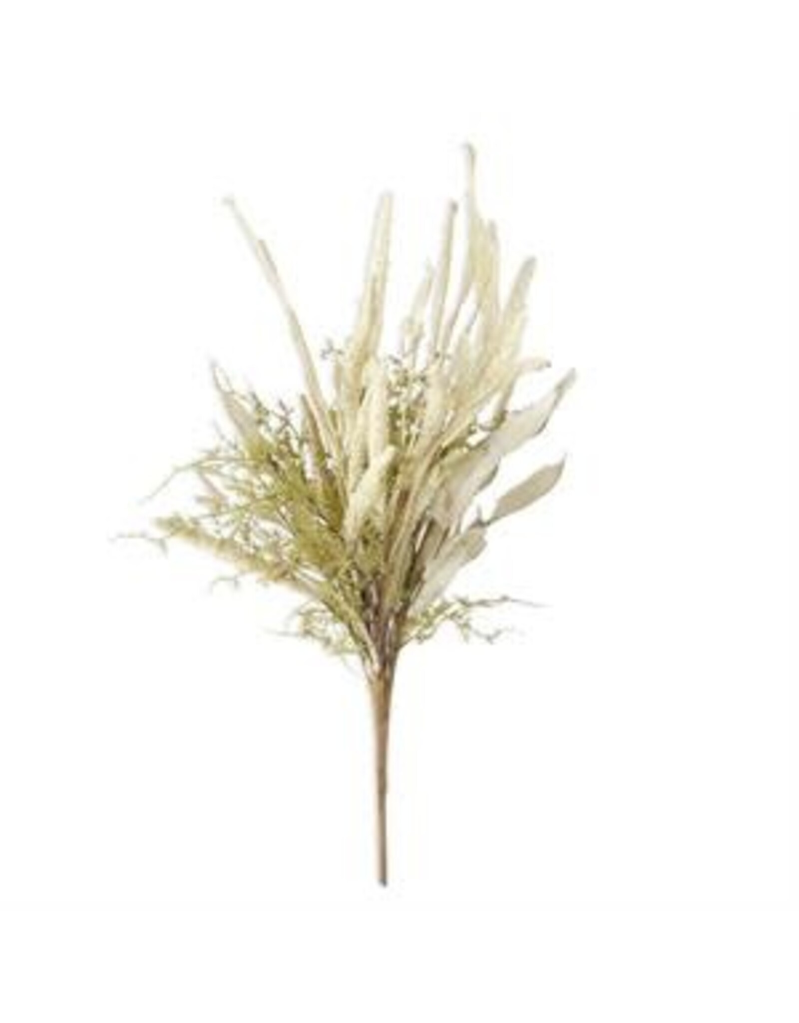 24 Inch Green Asparagus Foliage w/Berry Spikes 17511A