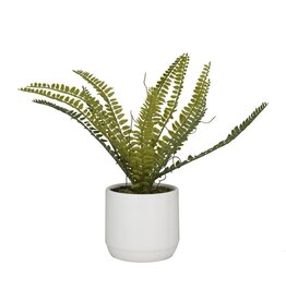 Faux Fern in Pot 64087