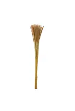 Dried nat Goldenrod Bunch DF7078