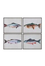 Swimming School 4 styles, each CVTOP3418