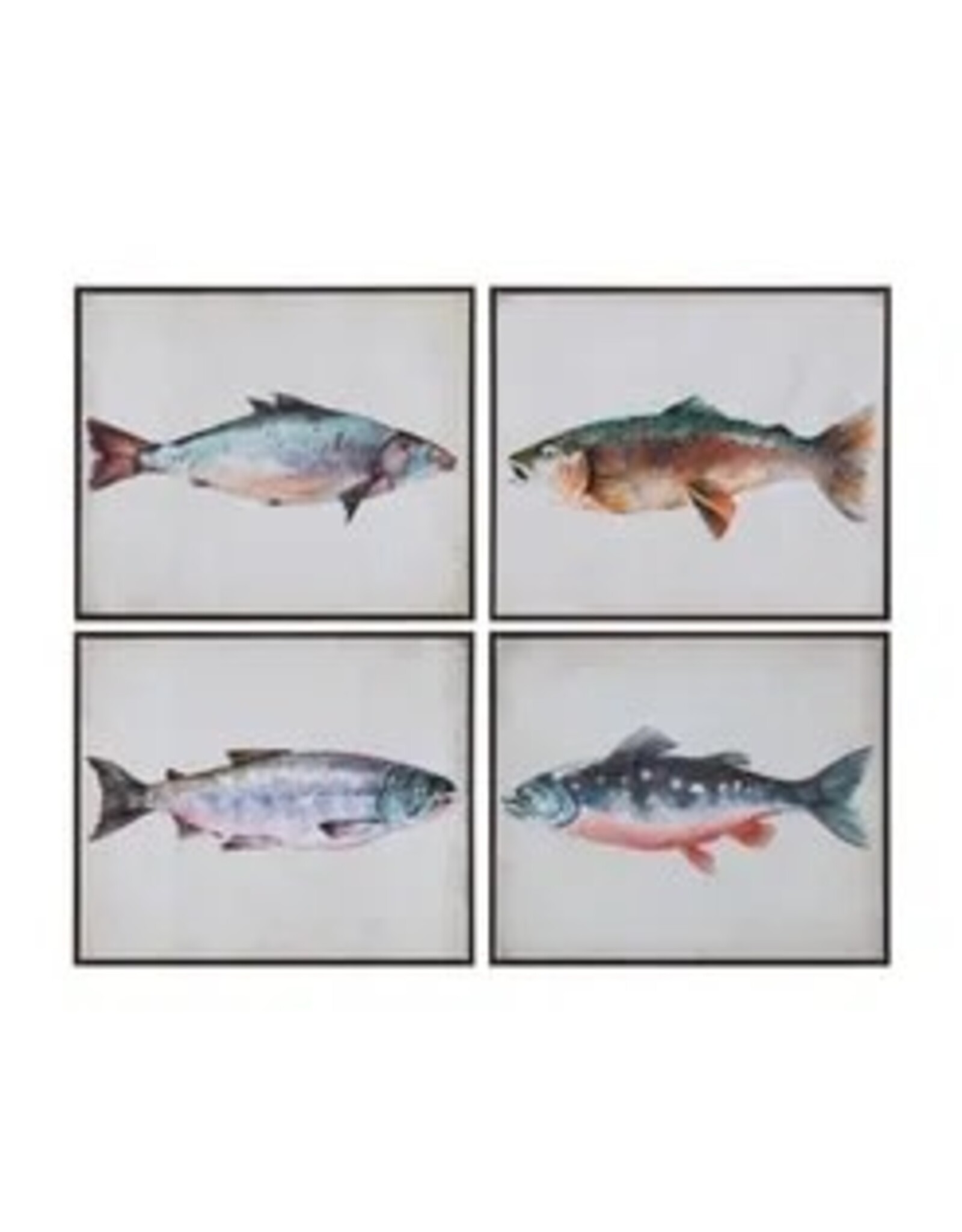 Swimming School 4 styles, each CVTOP3418