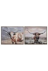Texas Longhorn  2 styles, each 39.04 x 31.5" CVTOP3222