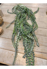 Weeping Vine 0128-9