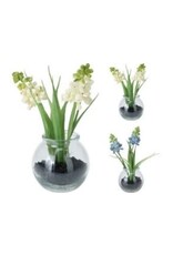 Bellflower 15cm 3 styles, each PL6000060