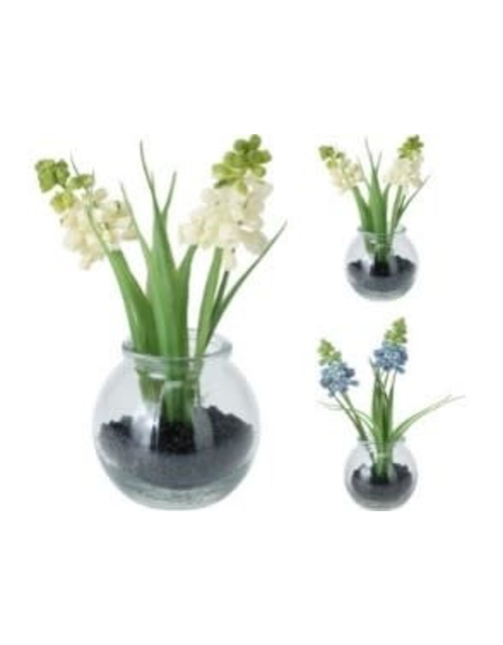 Bellflower 15cm 3 styles, each PL6000060