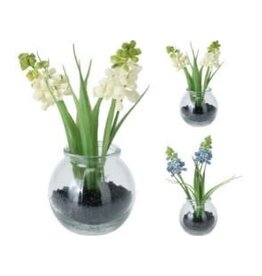 Bellflower 15cm 3 styles, each PL6000060