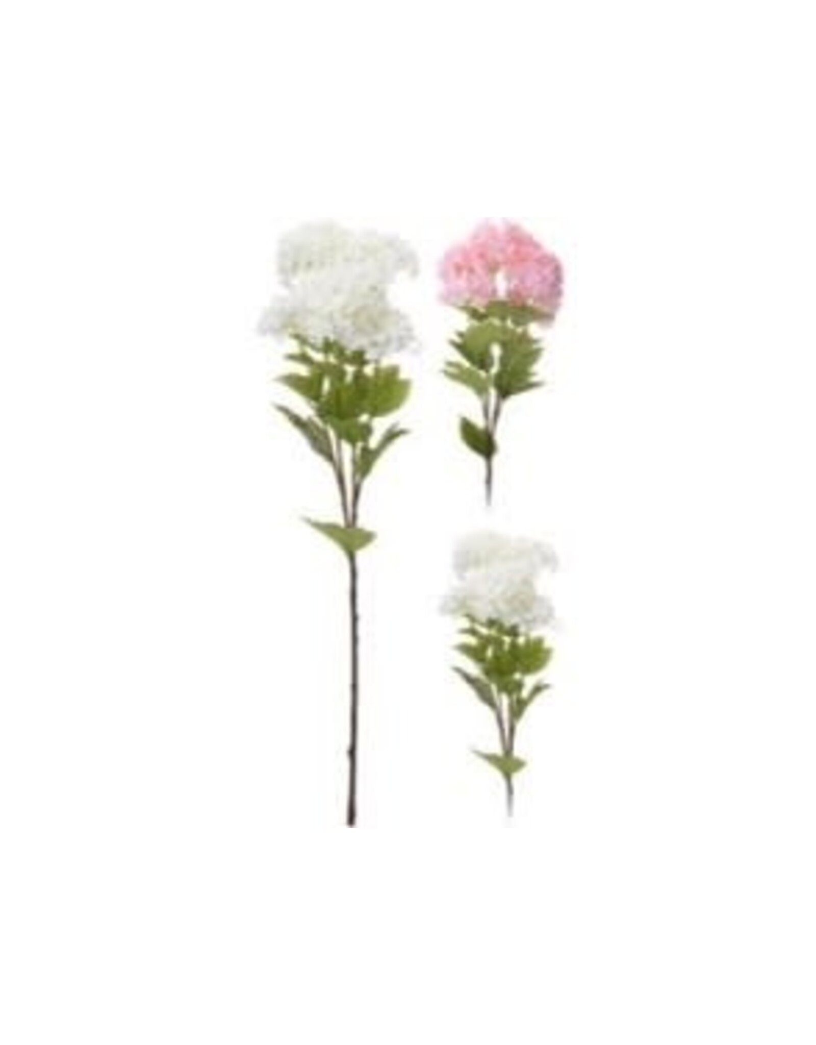 Viburnum 6 branches, 2 styles, each 318800100