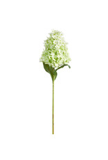 29" Green Hydrangea Stem F4441836
