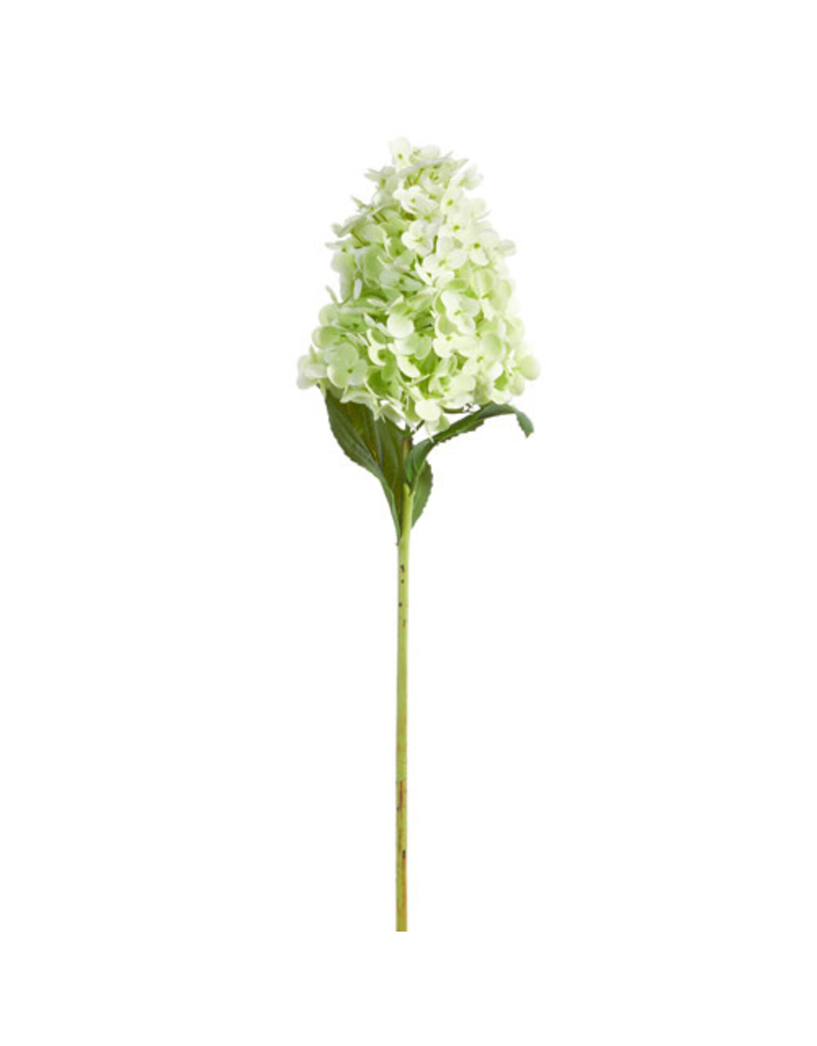 29" Green Hydrangea Stem F4441836