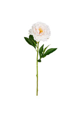 24" White Rose Stem F4512785