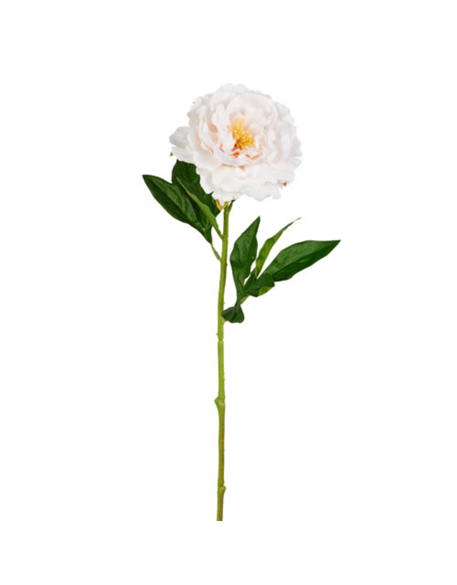 24" White Rose Stem F4512785