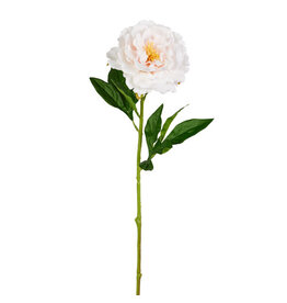 24" White Rose Stem F4512785