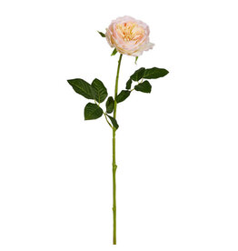 25" Peach Rose Stem F4512810