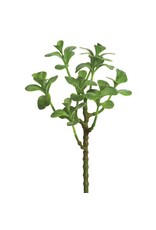 13" Jade Plant Spray  CJ1870-GR