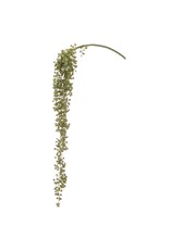 30" Succulent Hanging Spray CS2092-GR