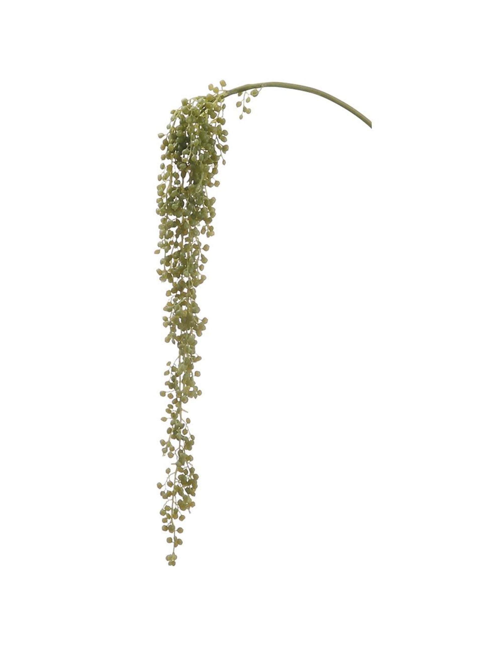 30" Succulent Hanging Spray CS2092-GR
