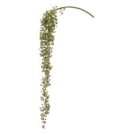 30" Succulent Hanging Spray CS2092-GR